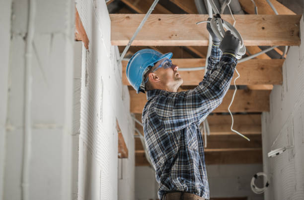 Best Local Electrician Companies  in Shoemakersville, PA